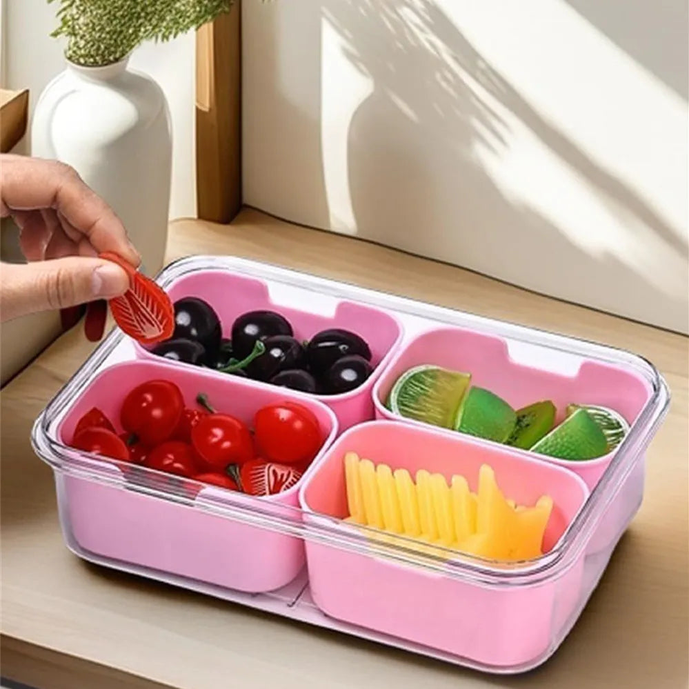 Snack Container with 4 Compartments | Organizer with Lid