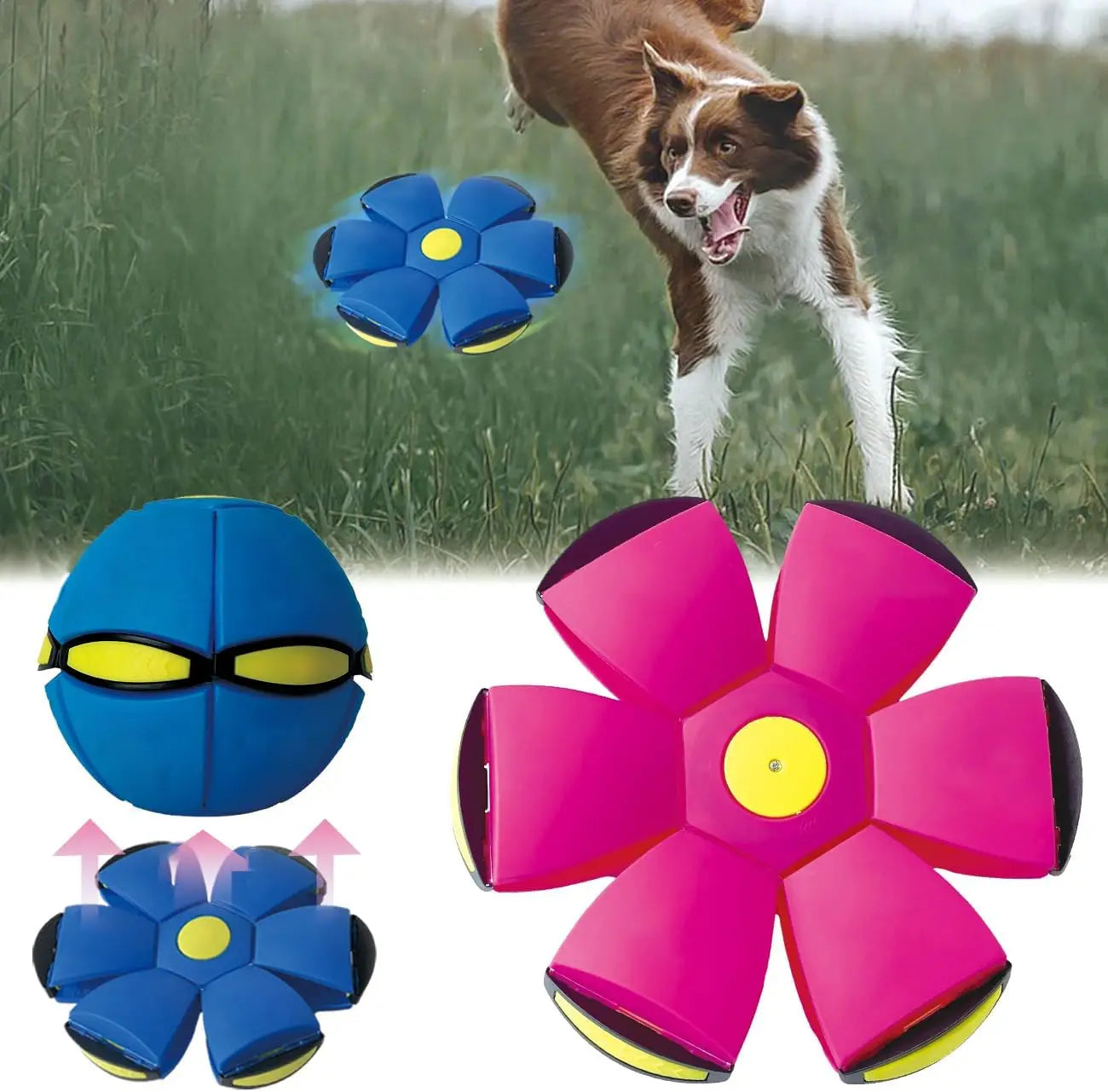 Durable Dog Soccer Ball | Interactive Exercise and Play Toy | Ideal for Parks, Beaches, and Camping