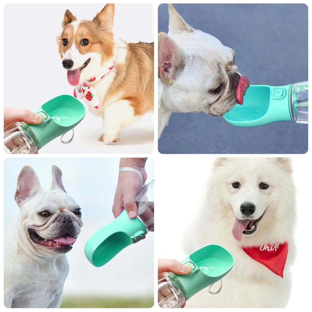 Portable Dog Water Bottle | Leakproof 2-in-1 Travel & Walking Bottle