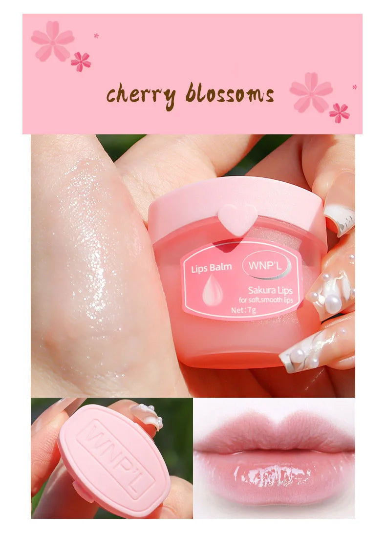 Lip Balm Set (4, 6 or 8 pieces), with Plant-Based Formula to Moisturize and Repair Dry Lips
